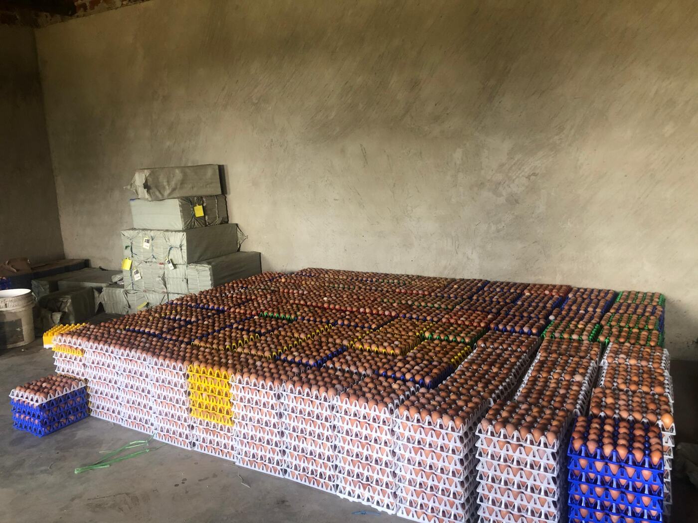 Stacks of trays filled with brown table eggs in the farm store at Jaguuza Eco Farms, ready for market.